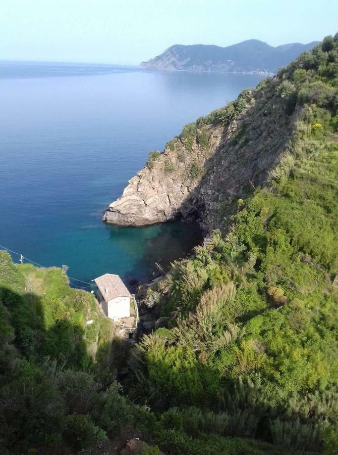 Cecio 5 Terre Rooms Corniglia Exteriör bild